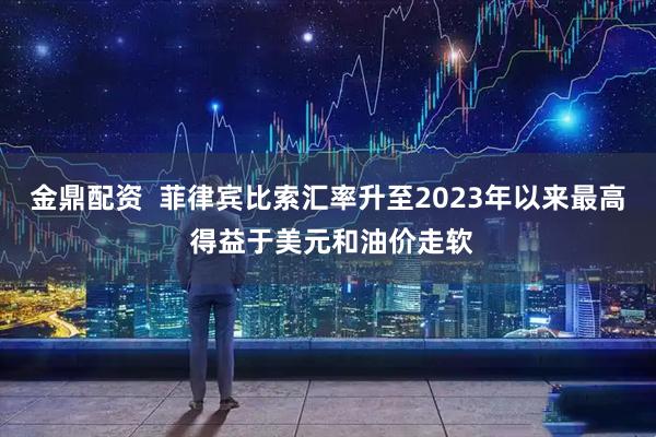 金鼎配资  菲律宾比索汇率升至2023年以来最高 得益于美元和油价走软