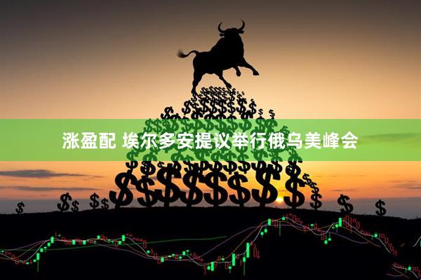 涨盈配 埃尔多安提议举行俄乌美峰会