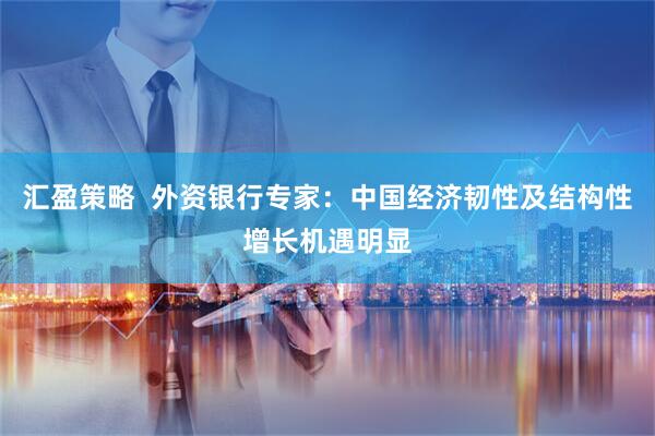 汇盈策略  外资银行专家：中国经济韧性及结构性增长机遇明显