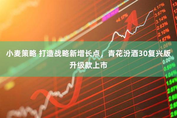 小麦策略 打造战略新增长点，青花汾酒30复兴版升级款上市
