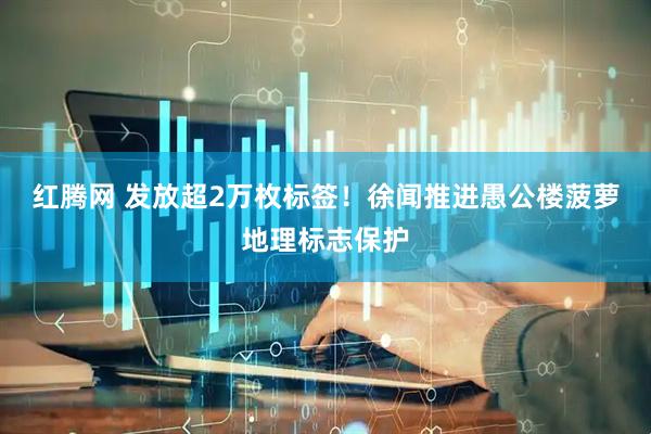 红腾网 发放超2万枚标签！徐闻推进愚公楼菠萝地理标志保护