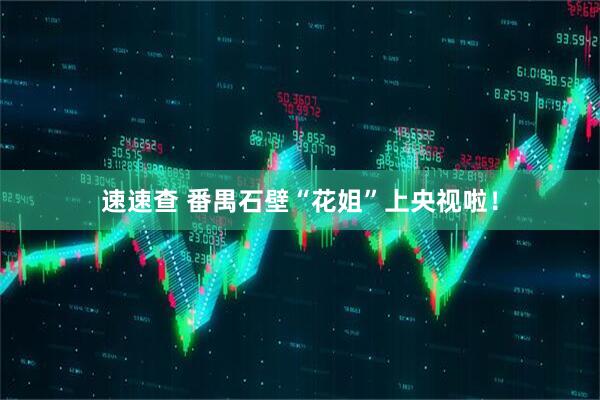 速速查 番禺石壁“花姐”上央视啦！