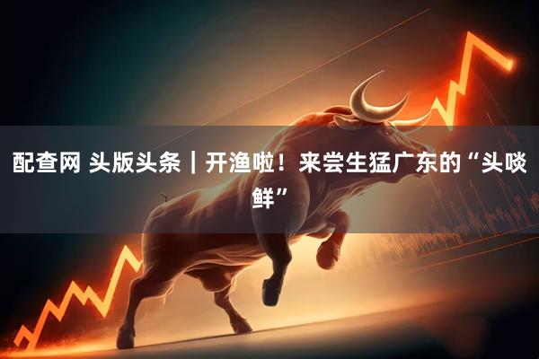配查网 头版头条｜开渔啦！来尝生猛广东的“头啖鲜”